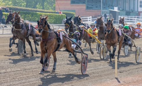 Foto av Burt Seeger/TR Bild